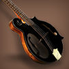 Zebra Mandolin
